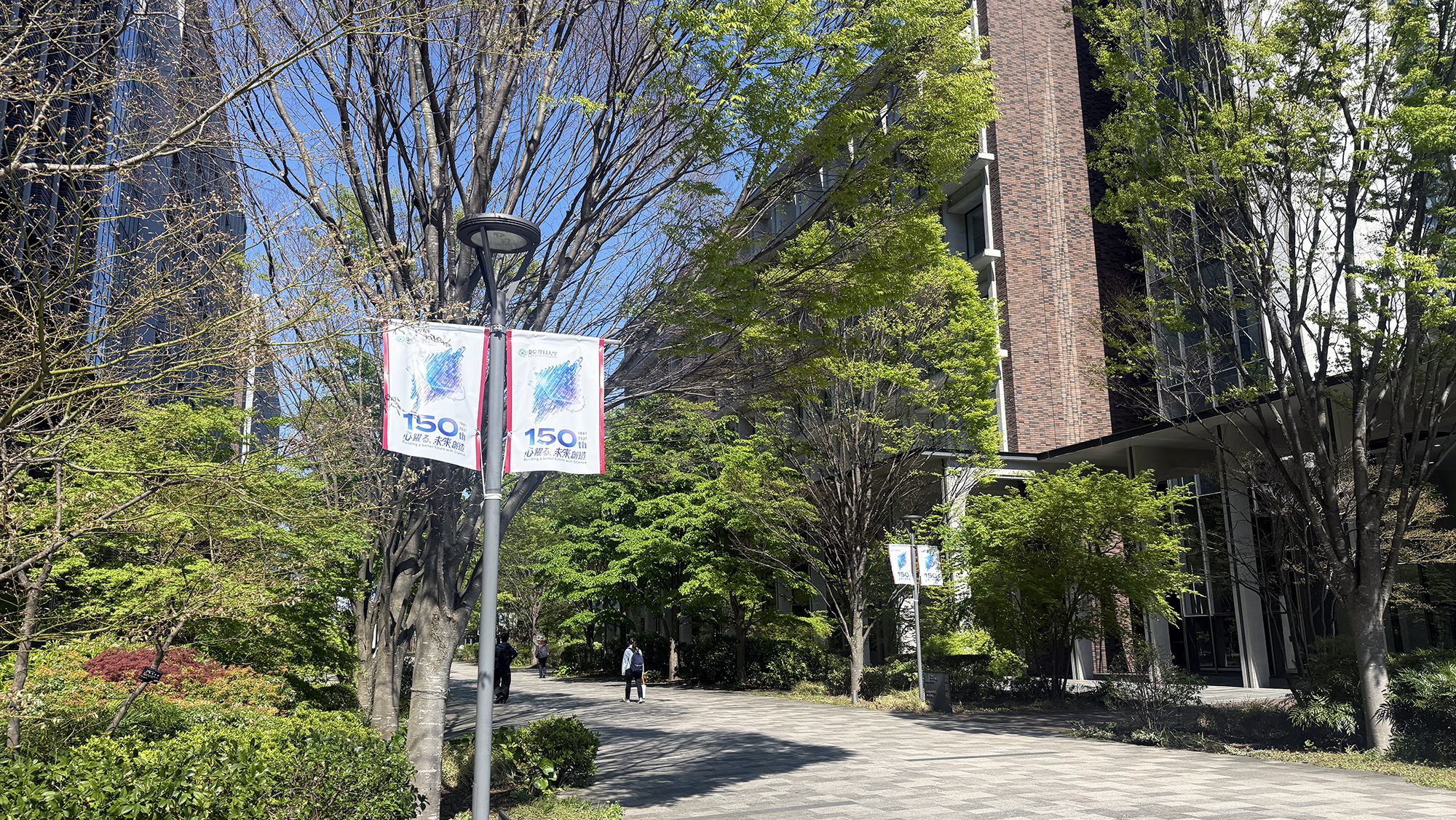 Tokyo University of Science ~ Flag & Sign