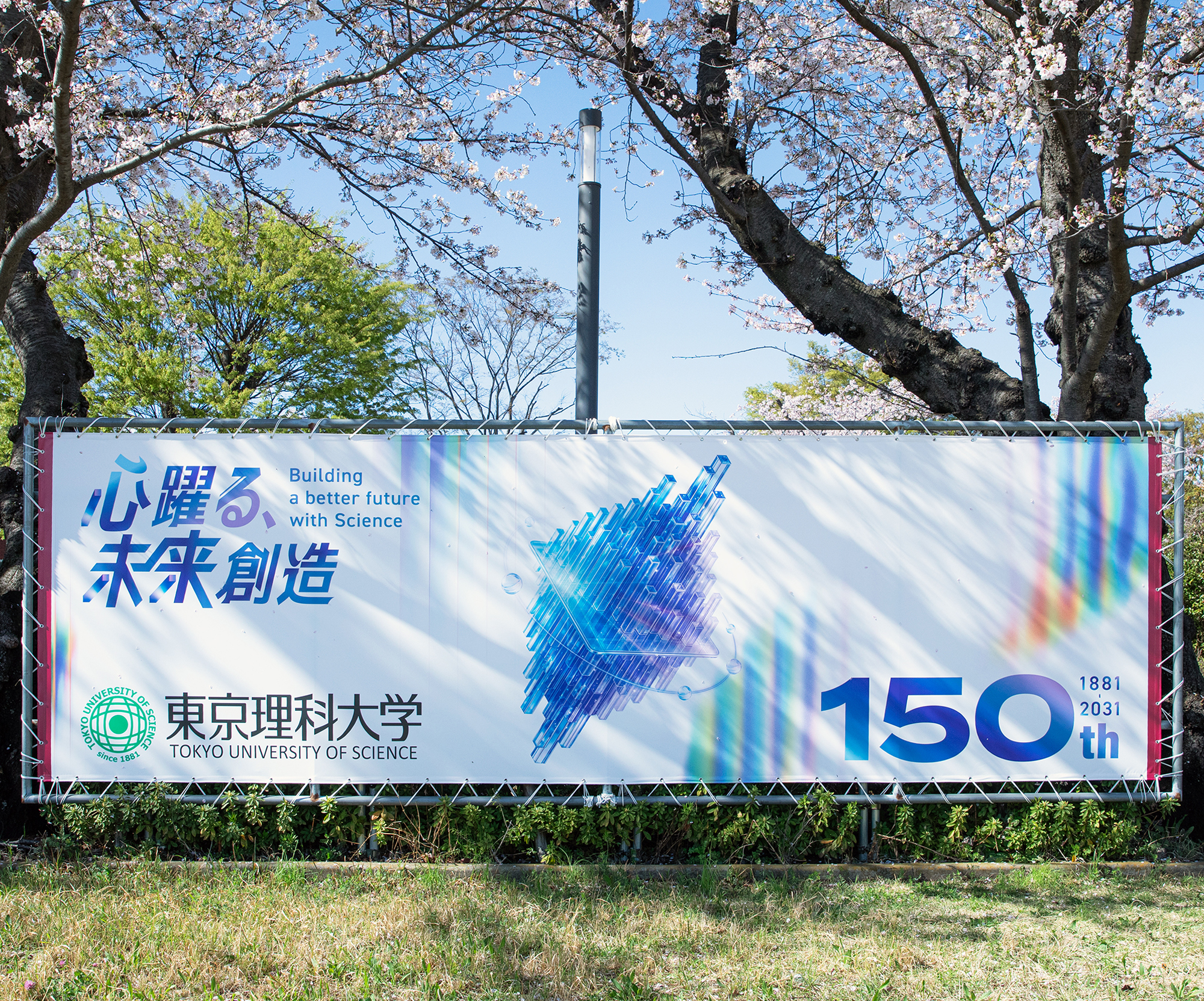 Tokyo University of Science ~ Flag & Sign