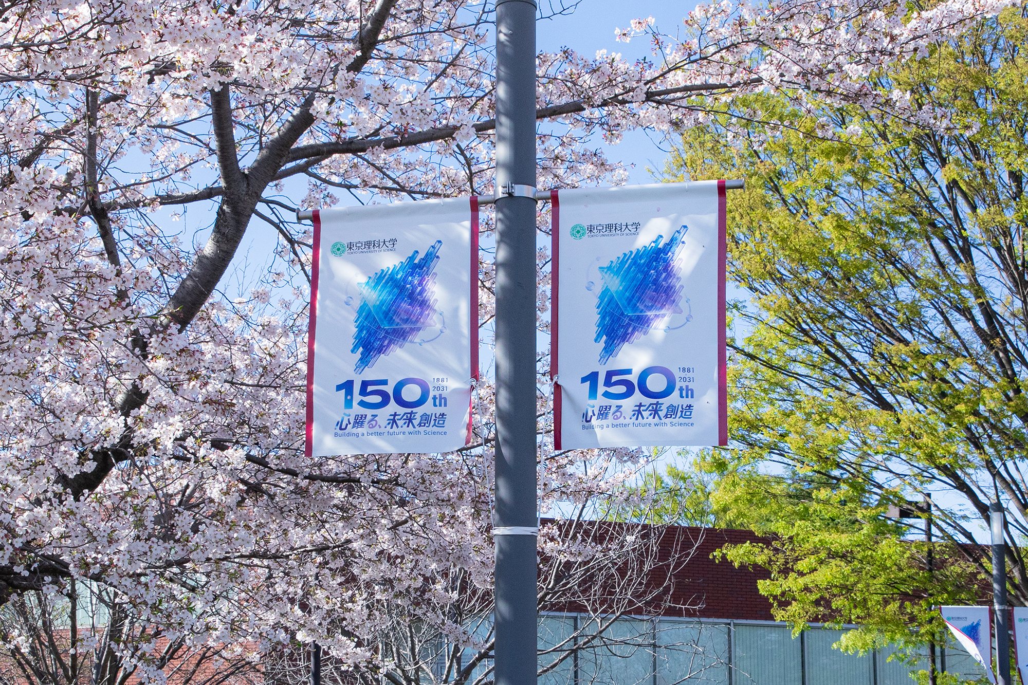 Tokyo University of Science ~ Flag & Sign