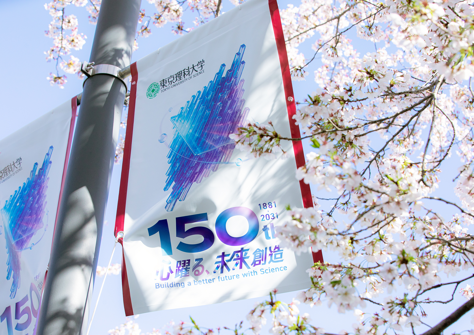 Tokyo University of Science ~ Flag & Sign