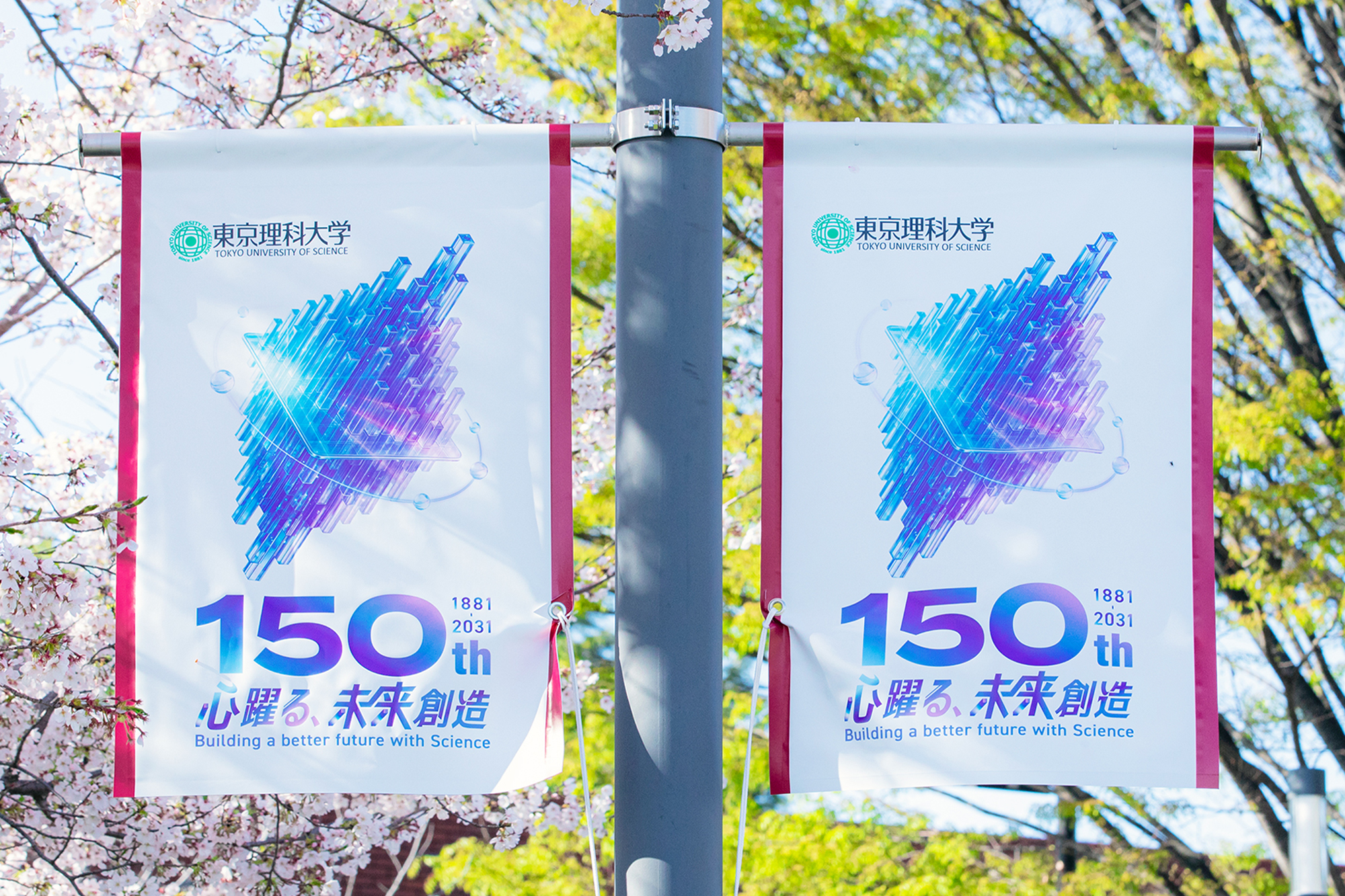 Tokyo University of Science ~ Flag & Sign