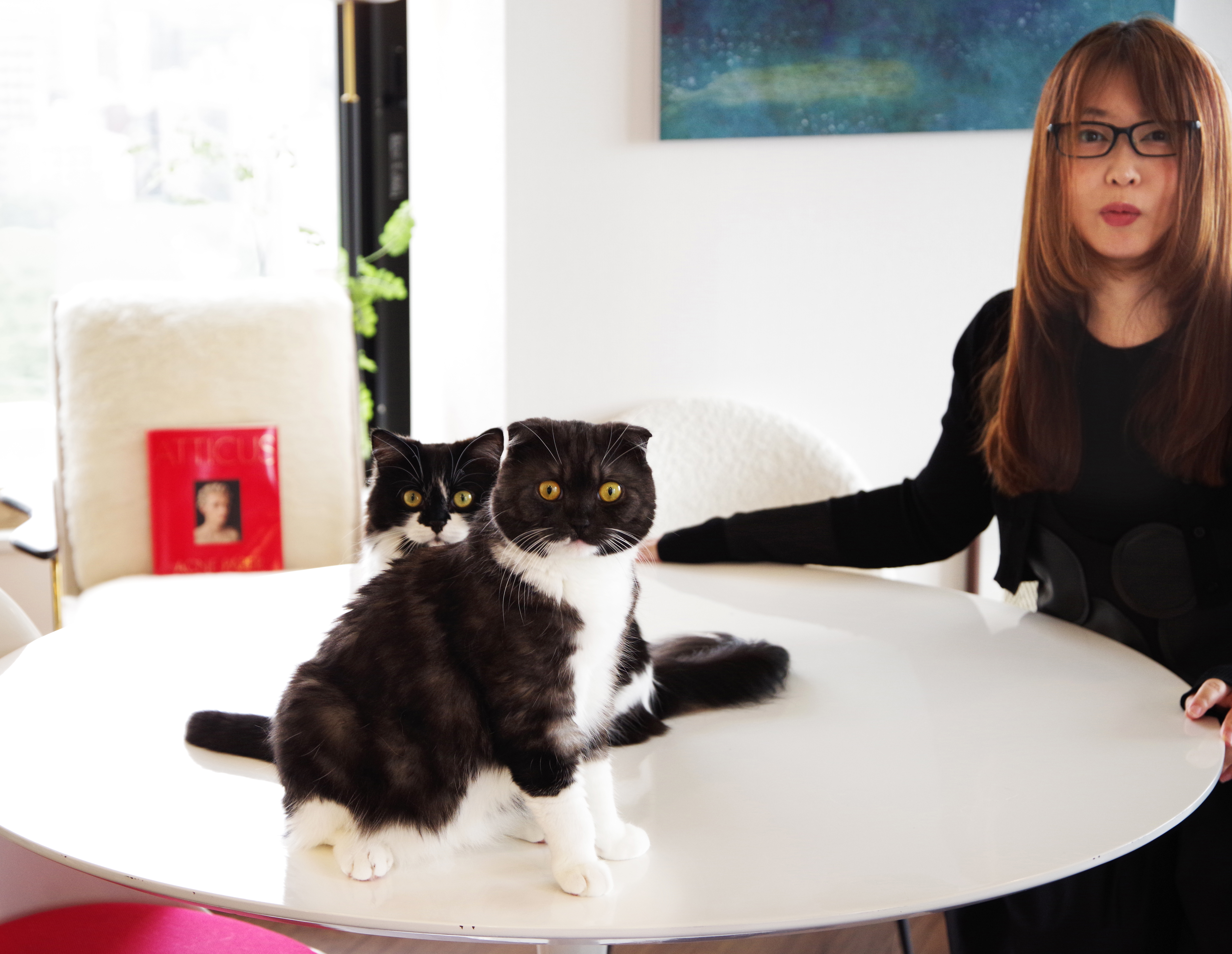 SMDO×MATSURICA  interview