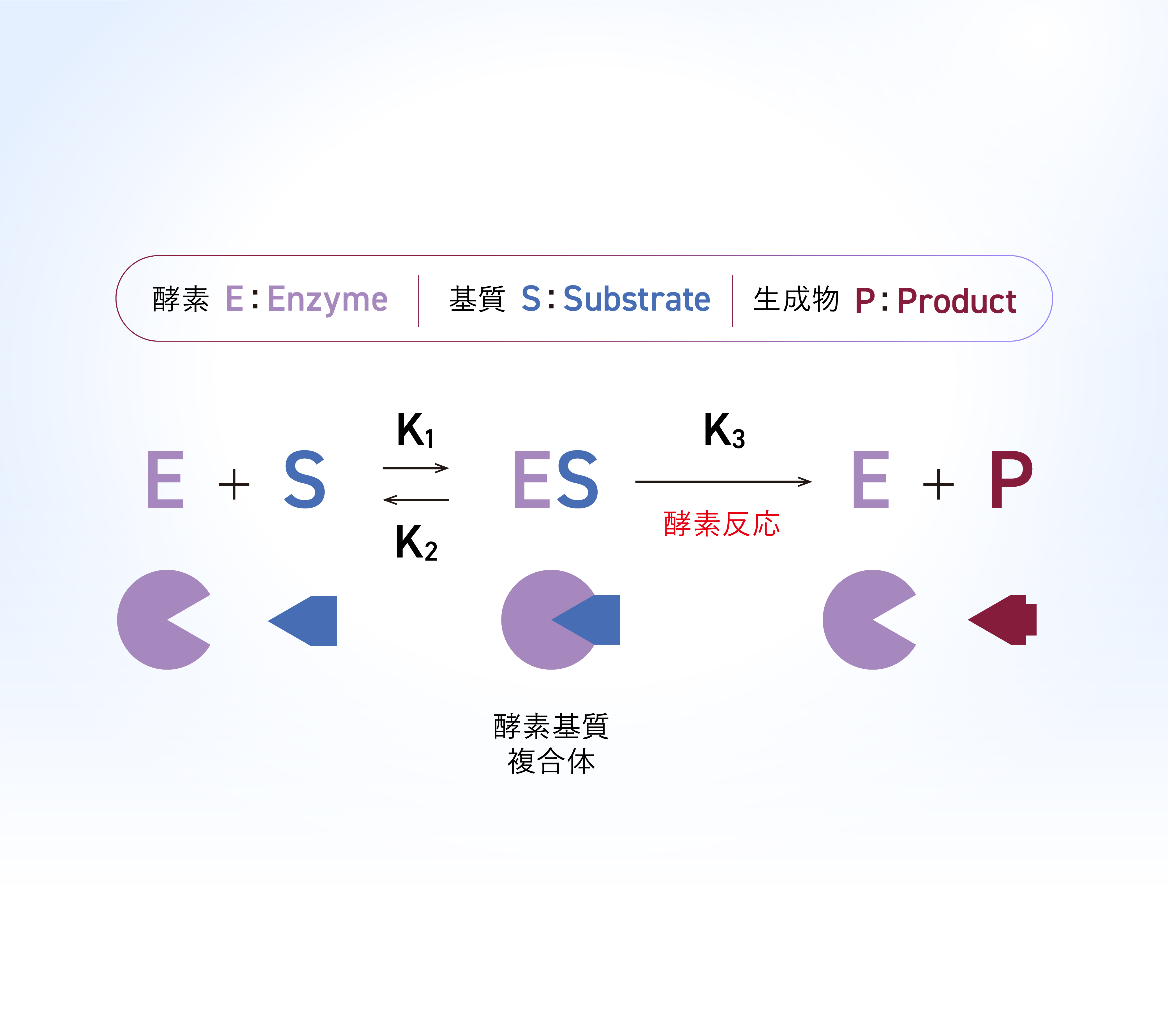 Tokyo University of Science ~ 150th Anniversary Website