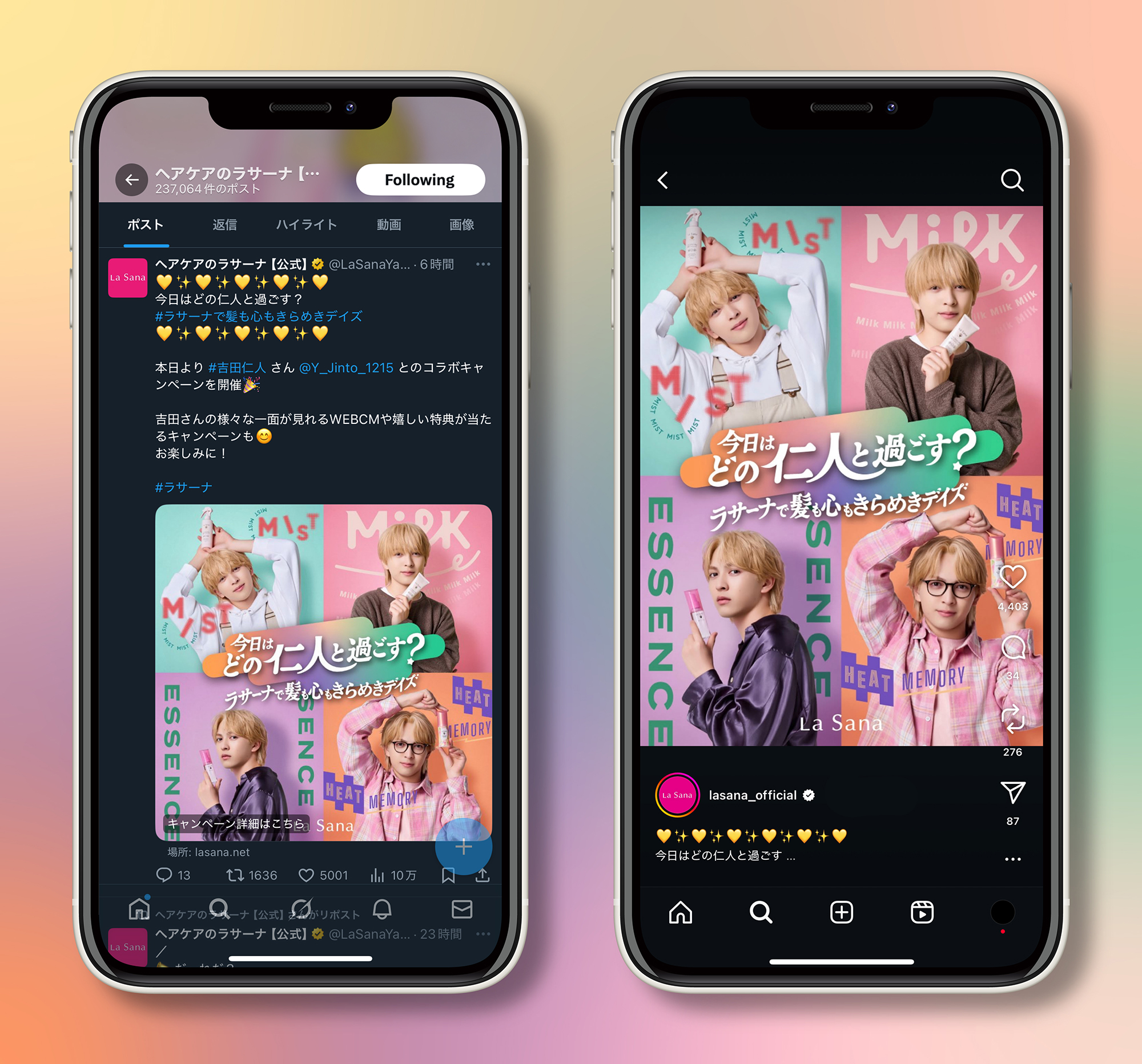 La Sana Creative Campaign