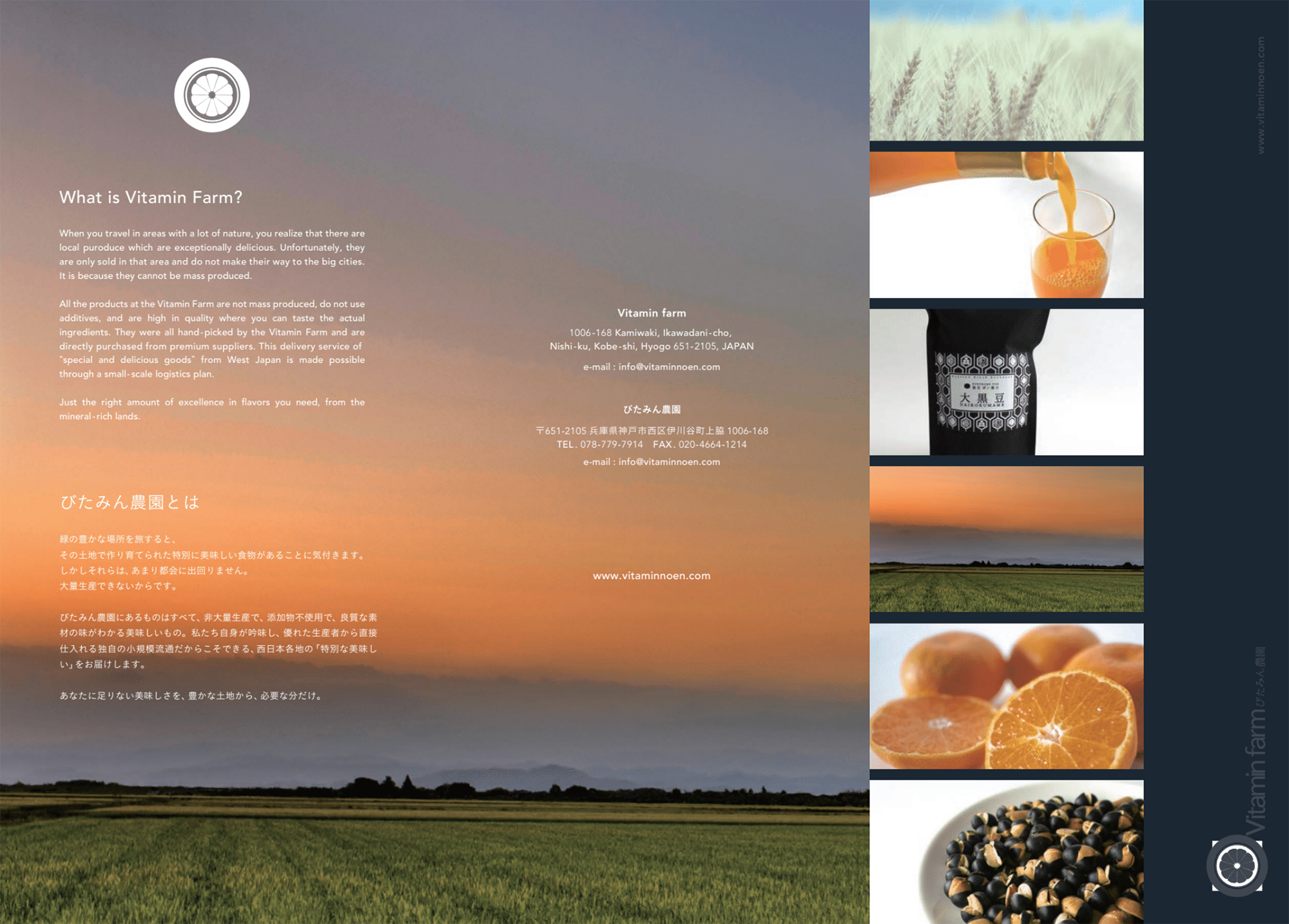 Vitamin Farm Leaflet