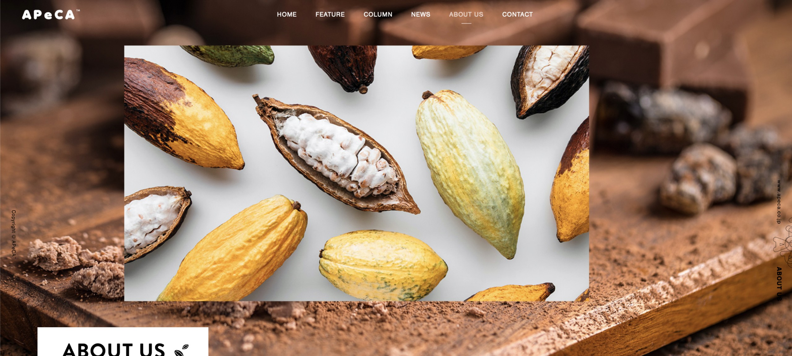 Apeca Web Design Sano Minami Design Office