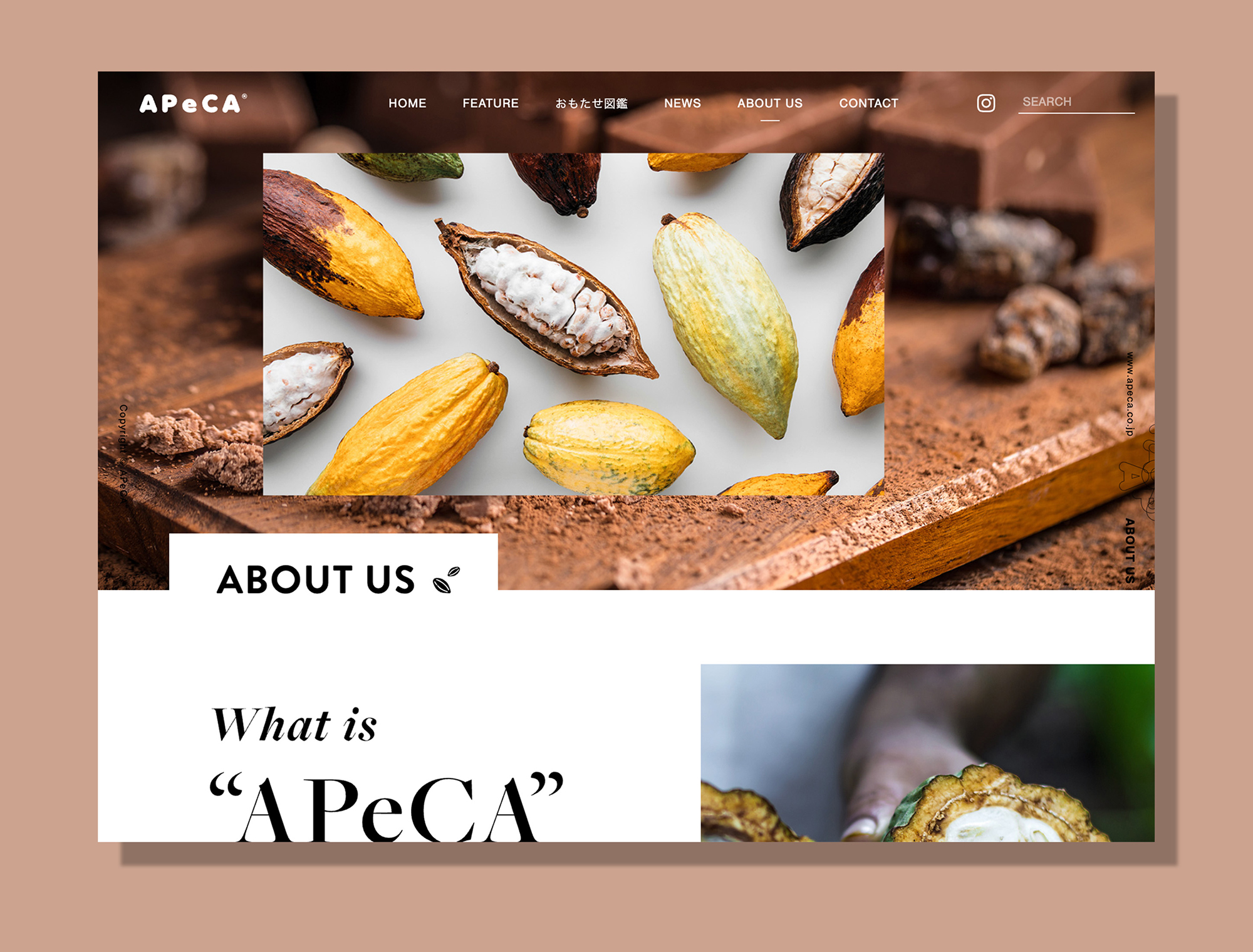 APeCA Web design