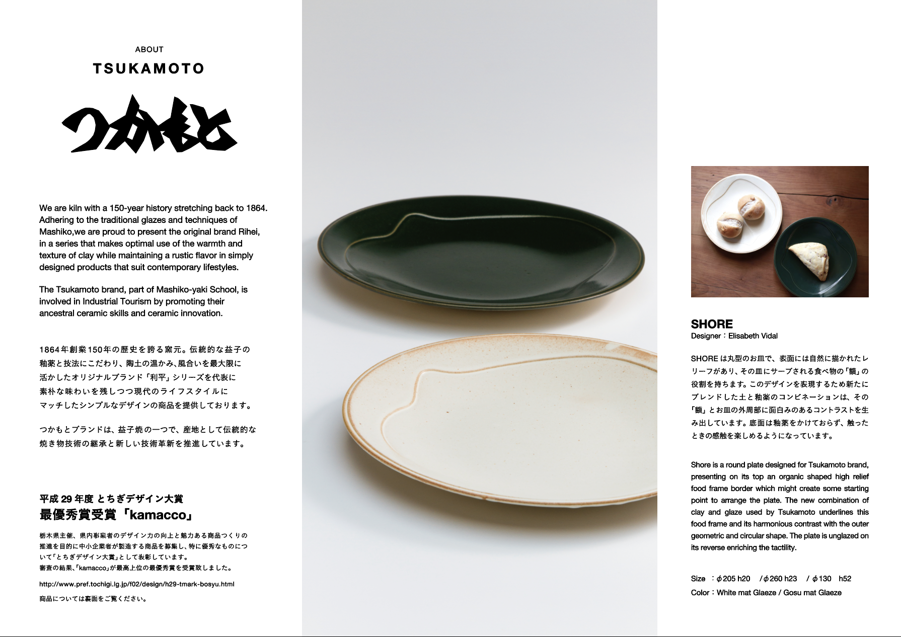 Tsukamoto leaflet