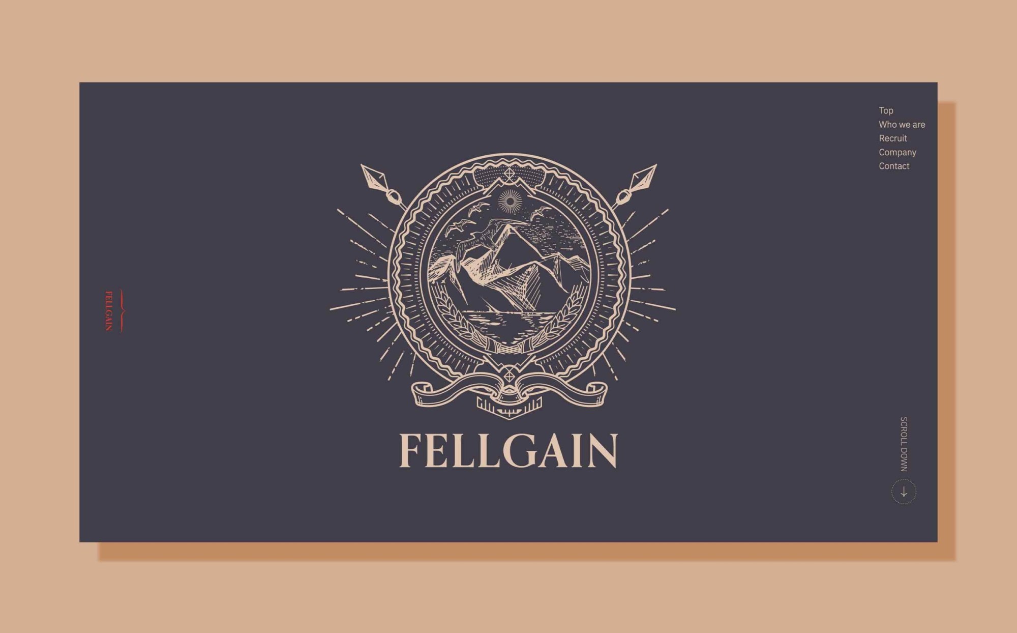 FELLGAIN WEB SITE & LOGO