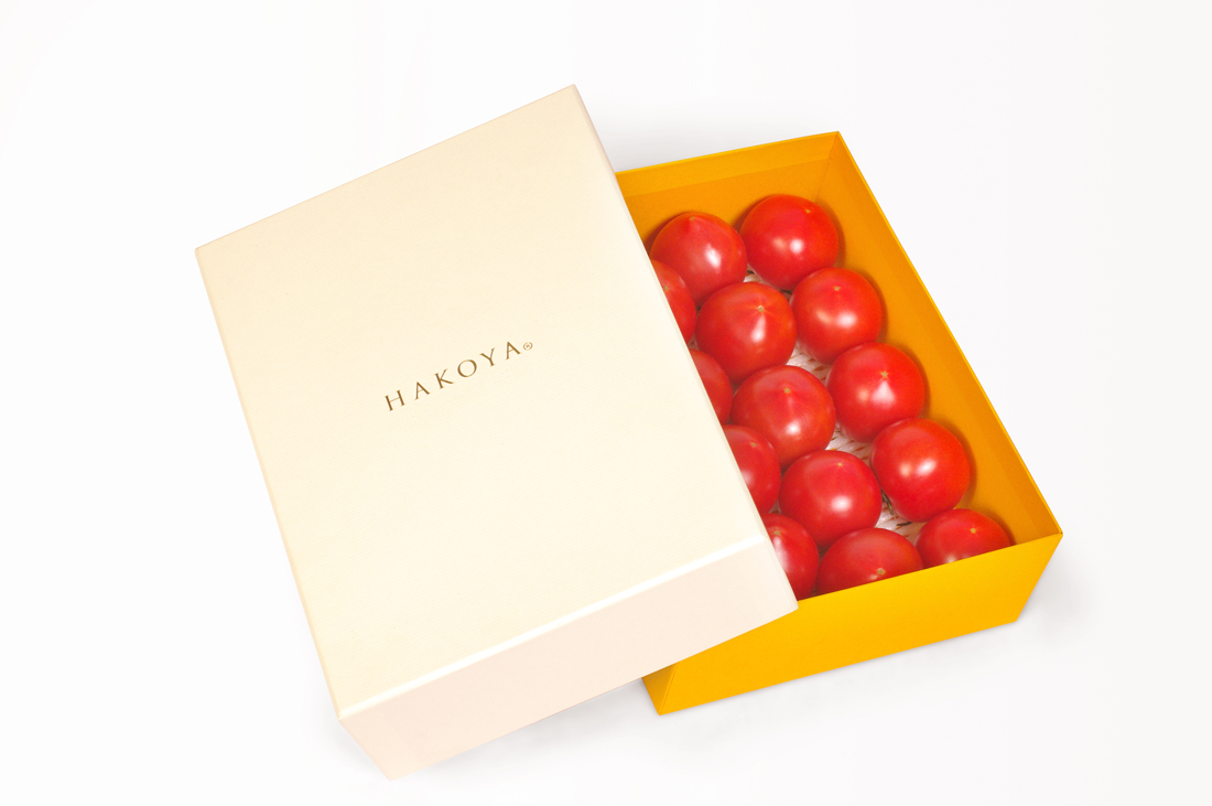 HAKOYA Package, Leaflet,web site