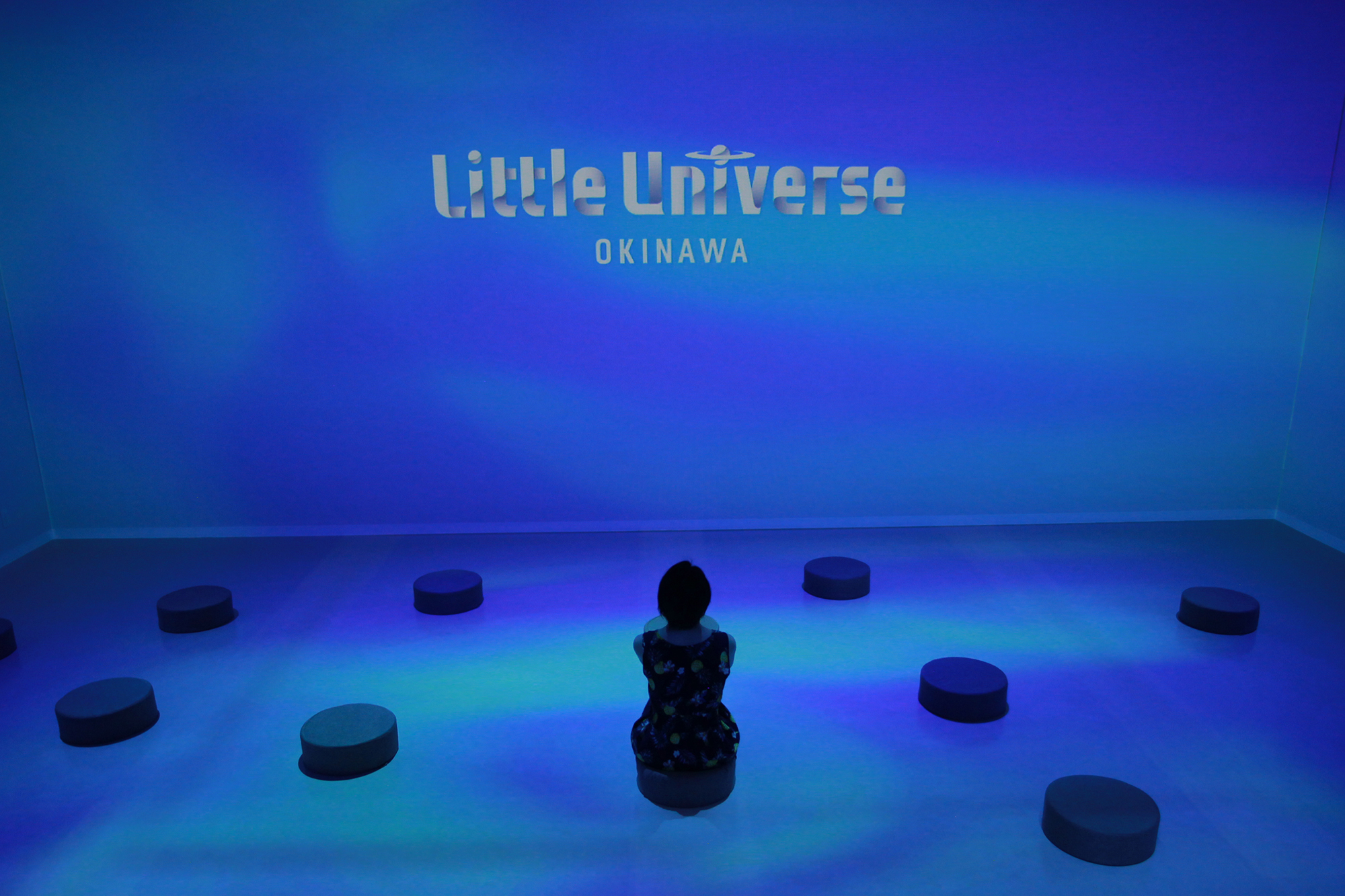 Little Universe logo