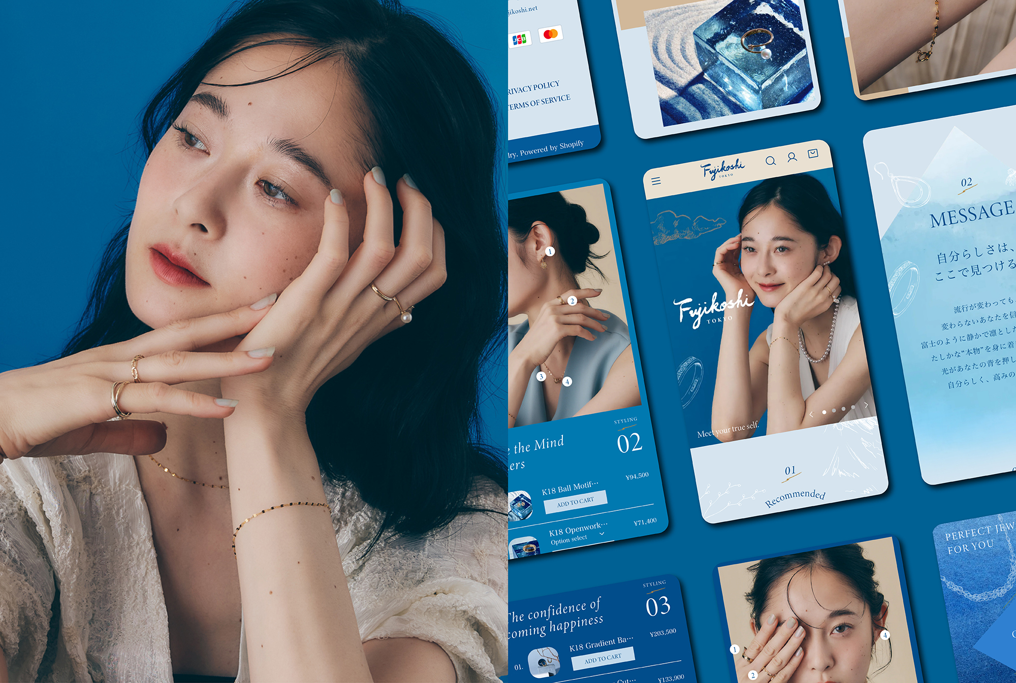 Fujikoshi Rebranding